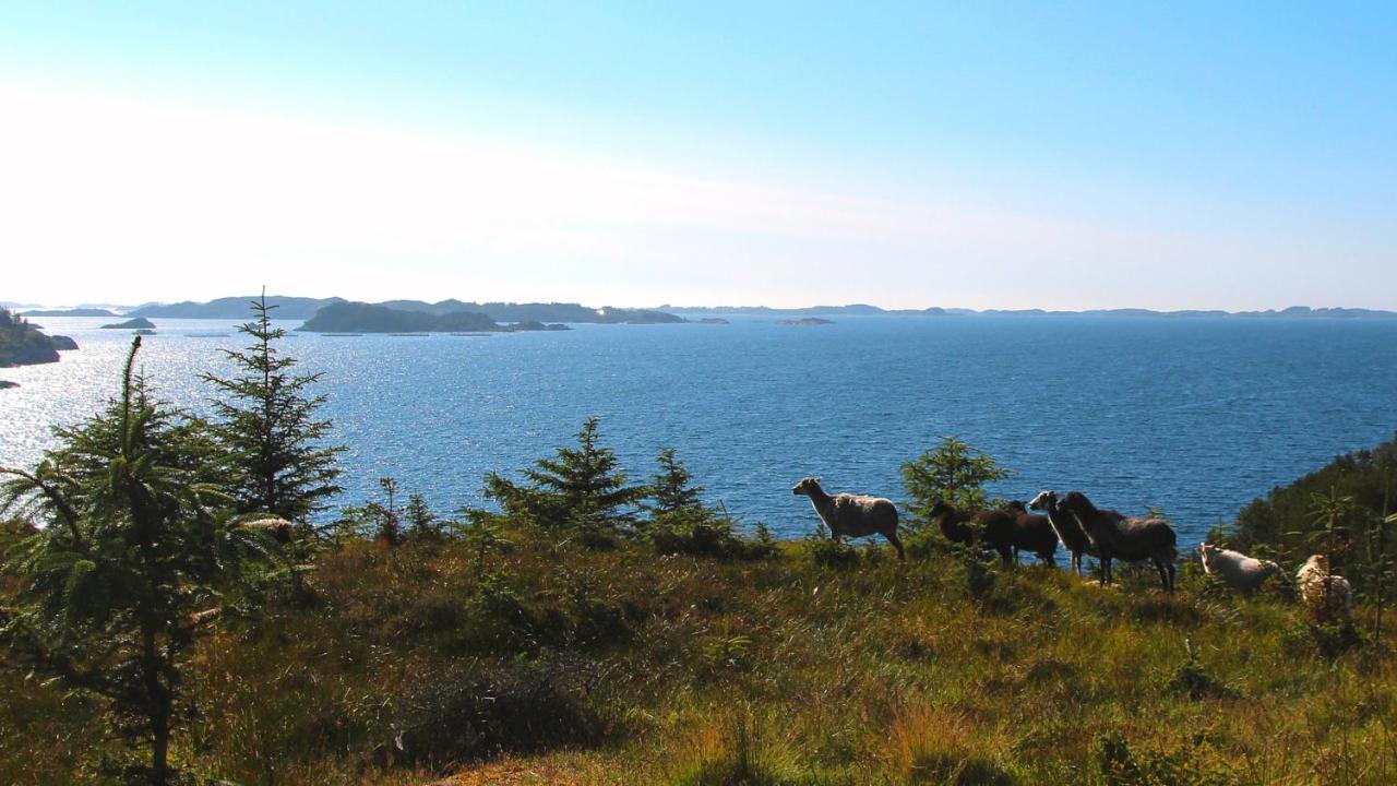 Kobbaneset Hk - Tett Pa Havet - Bekkjarvik Exterior photo